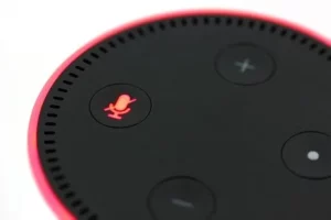 Does Amazon Echo have an AUX input
