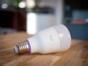 What bulbs are compatible with Philips Hue